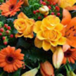 Meet your Posher, Marlene